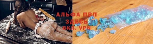 прущие грибы Бронницы