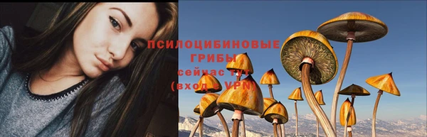 соль ск Бугульма