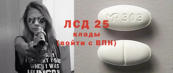 прущие грибы Бронницы