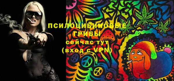 прущие грибы Бронницы