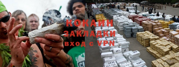 мяу мяу мука Бородино