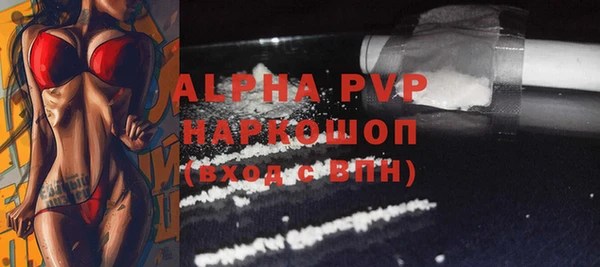 прущие грибы Бронницы