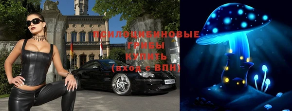 прущие грибы Бронницы