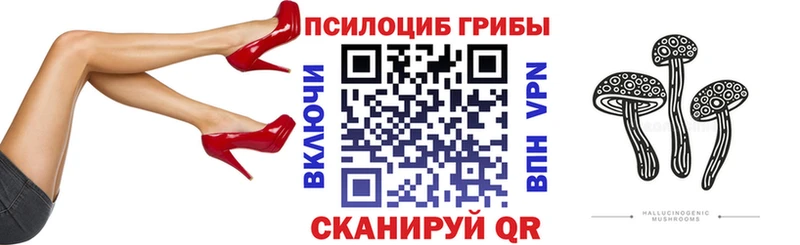 Псилоцибиновые грибы прущие грибы  hydra зеркало  Яровое  сколько стоит 